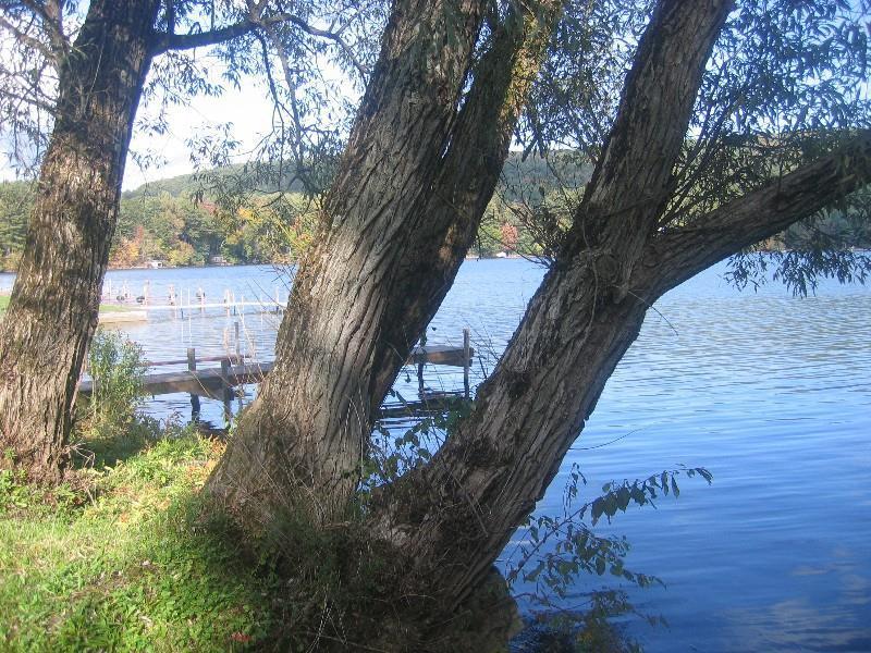 Red Carpet Inn On The Lake - 奥尼昂塔 外观 照片